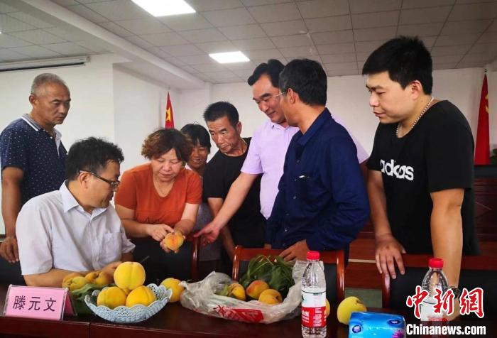 民進(jìn)浙江省委會(huì)為三里橋黃桃種植戶(hù)送技術(shù)、送指導(dǎo)?！〖紊平y(tǒng)戰(zhàn) 供圖