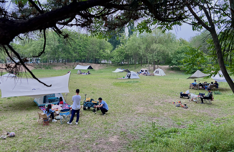 “自駕+露營”等多元模式受熱捧。人民網(wǎng)記者 王連香攝