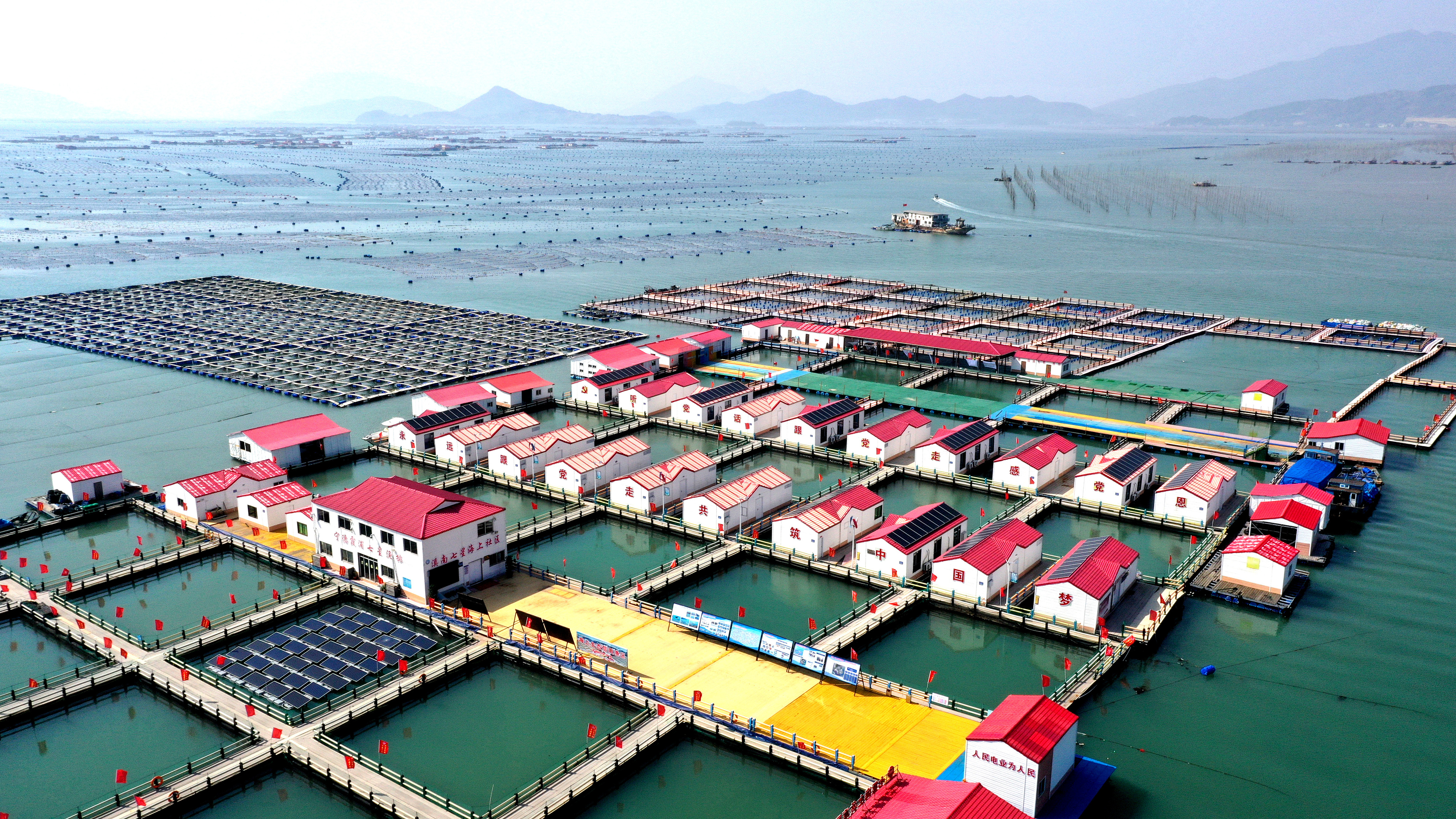 2024年3月20日，福建省寧德市，霞浦縣溪南鎮(zhèn)七星村漁排養(yǎng)殖示范區(qū)，漁民駕駛養(yǎng)殖船進(jìn)行海參養(yǎng)殖作業(yè)。