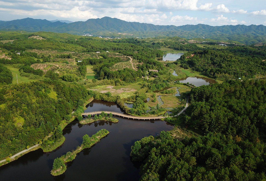福建省龍巖市長(zhǎng)汀縣的長(zhǎng)汀汀江國(guó)家濕地公園景色（2020年7月28日攝，無人機(jī)照片）。新華社記者 魏培全 攝