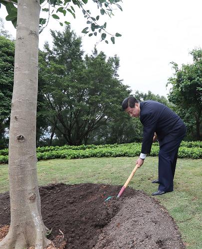 2012年12月7日至11日，習(xí)近平在廣東省考察工作。這是8日上午，習(xí)近平在深圳蓮花山公園種下一棵高山榕樹。新華社記者 蘭紅光 攝