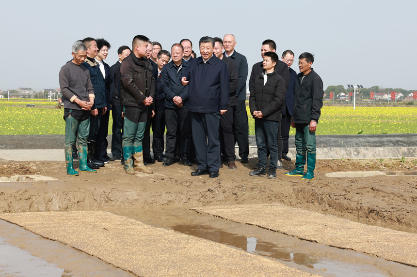 2024年3月18日至21日，中共中央總書記、國家主席、中央軍委主席習(xí)近平在湖南考察。這是19日下午，習(xí)近平在常德市鼎城區(qū)謝家鋪鎮(zhèn)港中坪村走進(jìn)田間，察看秧苗培育和春耕備耕進(jìn)展。新華社記者 王曄 攝