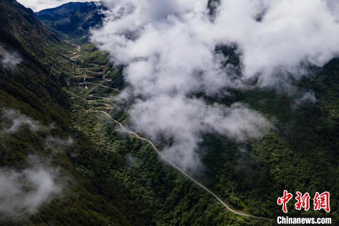 西藏山南勒布溝景區(qū)的盤山公路被云霧環(huán)繞?！〗w波 攝