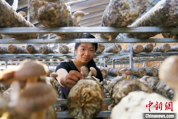 甘肅天?！跋愎椒蚱蕖毕律饺氪ǎ捍笈锢镉板X景”