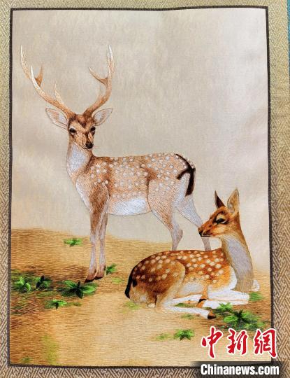 圖為藏繡作品?！∑钤鲚?攝
