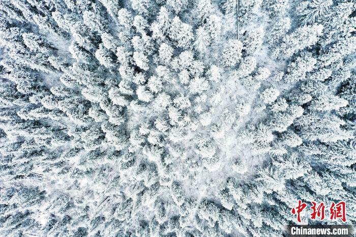 壤塘的雪后美景。　壤塘縣融媒體中心供圖