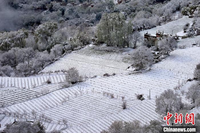 雪后的高山田間如畫?！±钣腊?攝