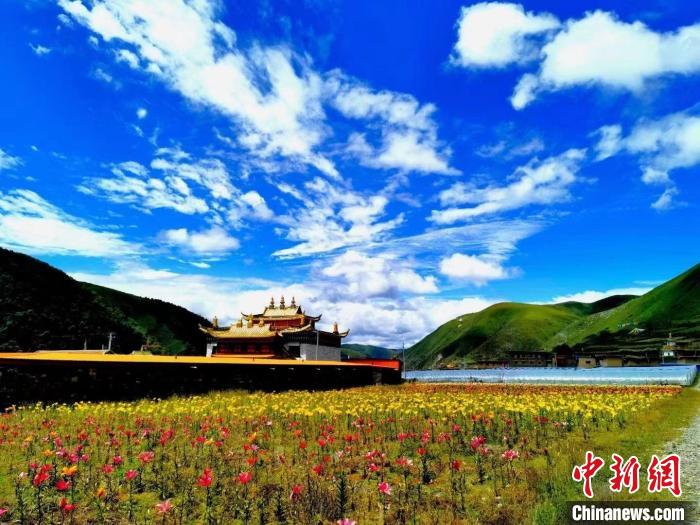 近百畝百合花競(jìng)相開放，景色誘人?！∪捞量h委宣傳部供圖