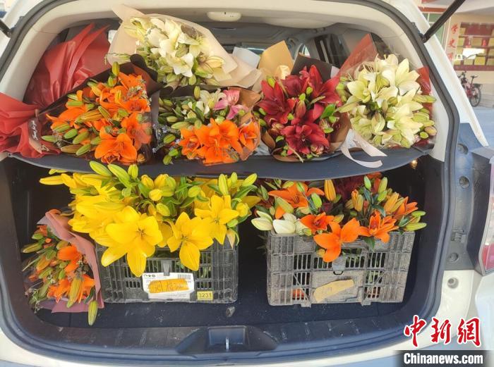 剛剛采摘下來(lái)的百合花?！∪捞量h委宣傳部供圖