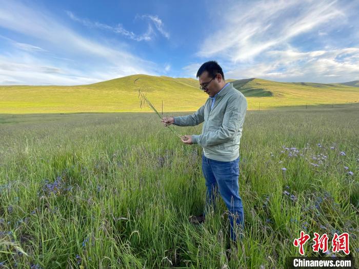 青海達(dá)日“援青縣長(zhǎng)”：雪域高原生態(tài)、民生“并蒂花開”