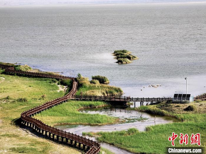 圖為都蘭湖國(guó)家濕地公園觀光棧道?！∑钤鲚?攝