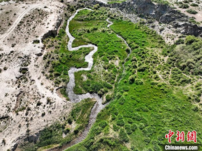 圖為航拍都蘭湖國(guó)家濕地公園綠意盎然?！∑钤鲚?攝