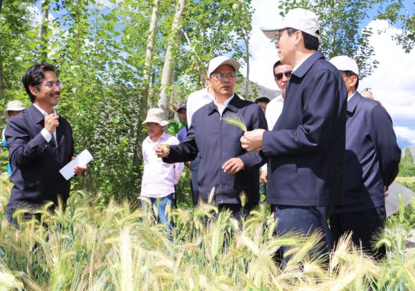 全國表彰大會上，為什么只有他沒到？
