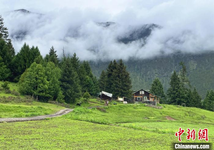 6月10日，魯朗小鎮(zhèn)高山牧場景區(qū)風(fēng)光?！∪轿木?攝