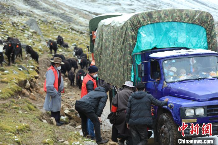 圖為牧民們查看車輛準備出發(fā)?！÷蹇?攝