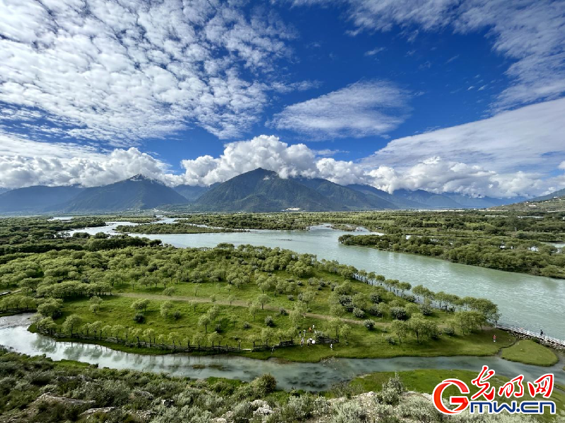 我們的家園丨【組圖】 綠水青山入畫，“金山銀山”筑起