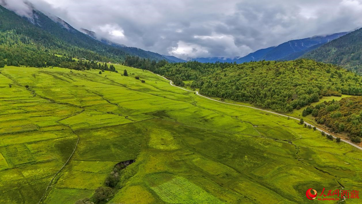 圖為航拍高山牧場(chǎng)鳥瞰圖。人民網(wǎng)記者 次仁羅布攝