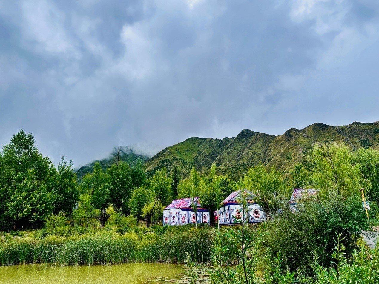 郁郁蔥蔥的南山公園。人民網(wǎng)記者 益西康珠攝
